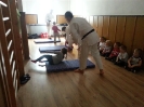lekcja karate_1